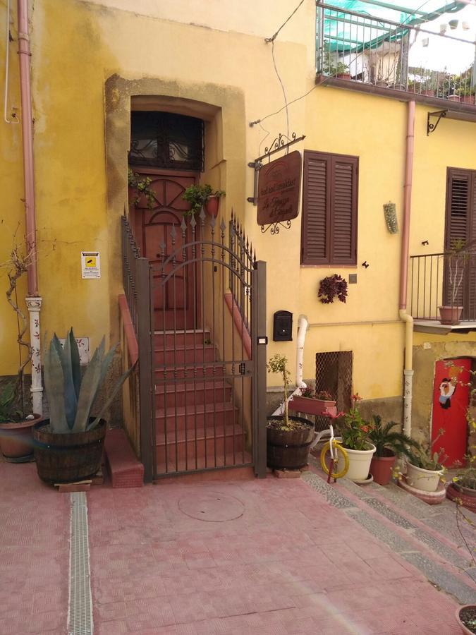 לינה וארוחת בוקר אגריג'נטו La Terrazza Di Girgenti מראה חיצוני תמונה